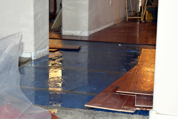 Professional Sewage Cleanup technician working in Gordon, WI